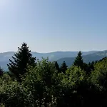 Refuge Mil100 Chalet-spa Luxe 5 * Metzeral