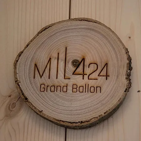 Holiday home Refuge Mil100 Chalet-spa Luxe 5 Metzeral