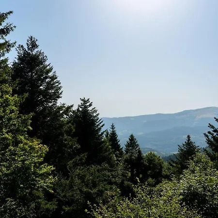 Ferienhaus Refuge Mil100 Chalet-spa Luxe 5 *