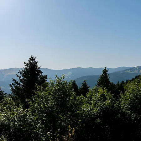 Refuge Mil100 Chalet-spa Luxe 5 Ferienhaus Metzeral