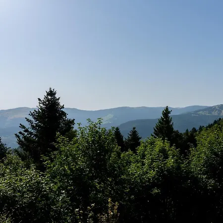 Refuge Mil100 Chalet-spa Luxe 5 * Metzeral