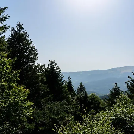 Casa de Férias Refuge Mil100 Chalet-spa Luxe 5 *