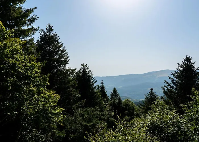 Σπίτι διακοπών Refuge Mil100 Chalet-spa Luxe 5 *