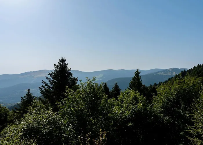 Refuge Mil100 Chalet-spa Luxe 5 Σπίτι διακοπών Metzeral